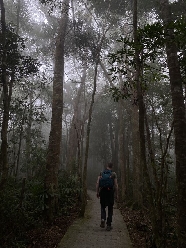 海南热带雨林国家公园五指山景区旅行图片 5
