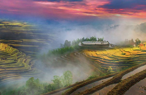 桃源梯田景区旅行图片 2
