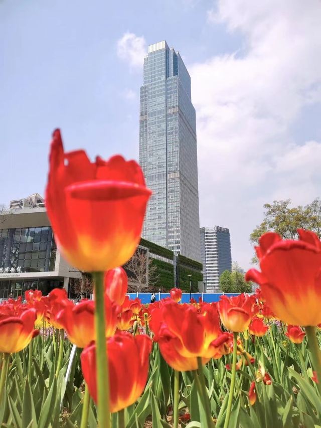 静安雕塑公园旅行图片 2