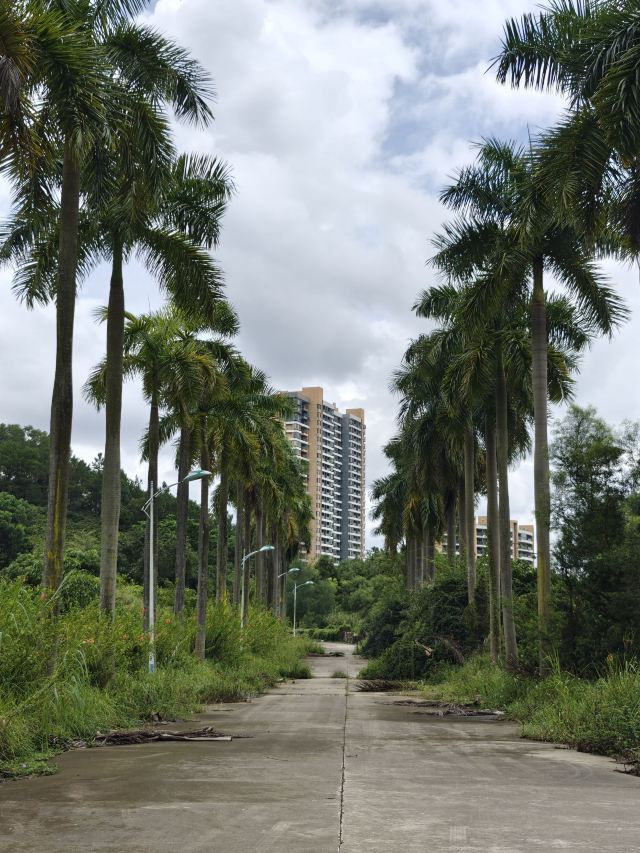 岐江公园旅行图片 3