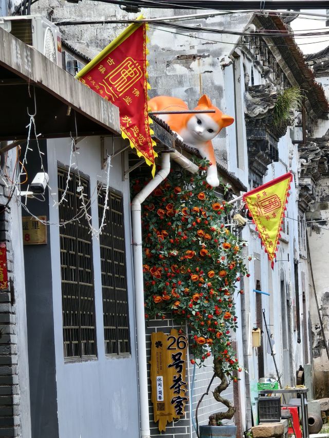 佛堂古镇旅行图片 2