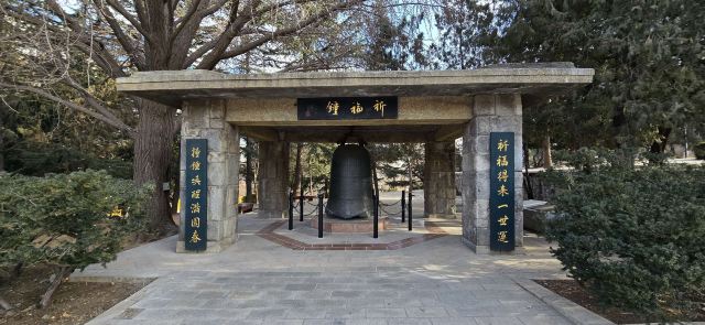 劳动公园旅行图片 8