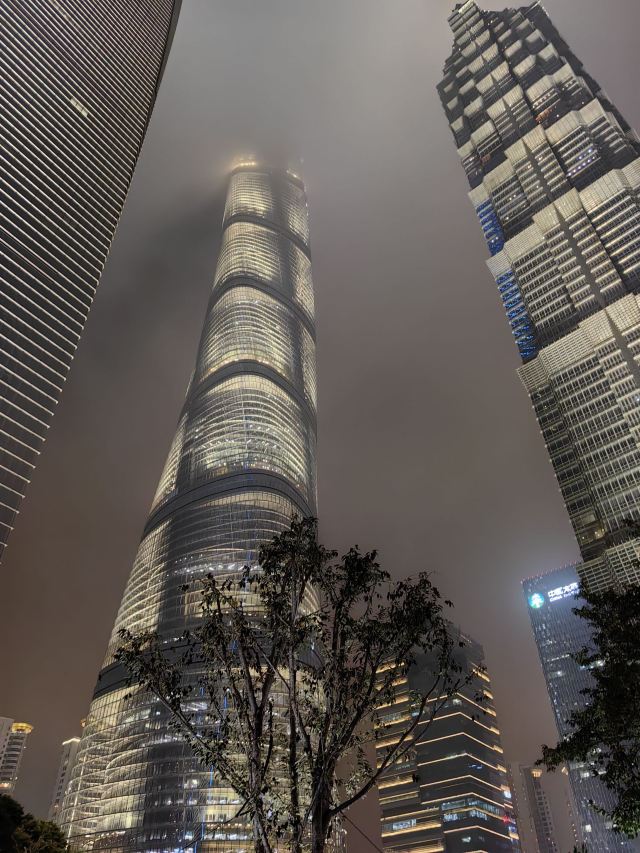 陆家嘴中心绿地旅行图片 3