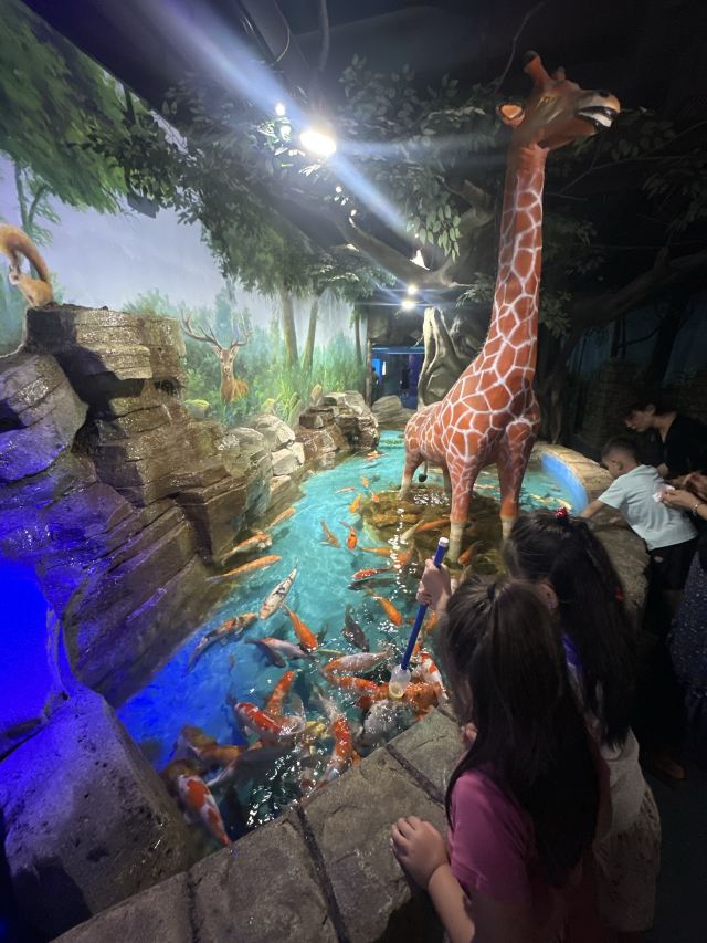 呼和浩特海洋馆旅行图片 1