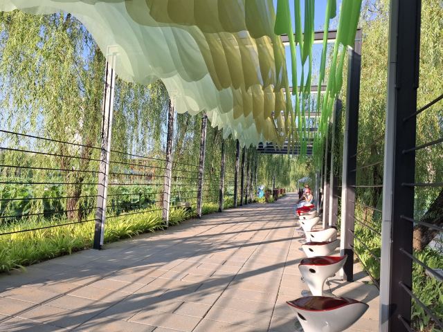普兰店区湿地公园旅行图片 2