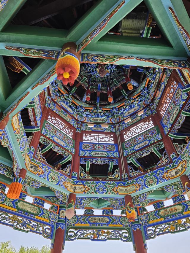 金川公园旅行图片 5