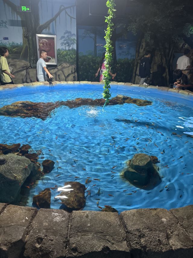 呼和浩特海洋馆旅行图片 2