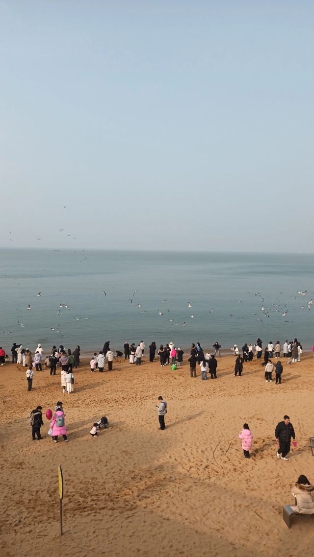 火炬八街旅行图片 1