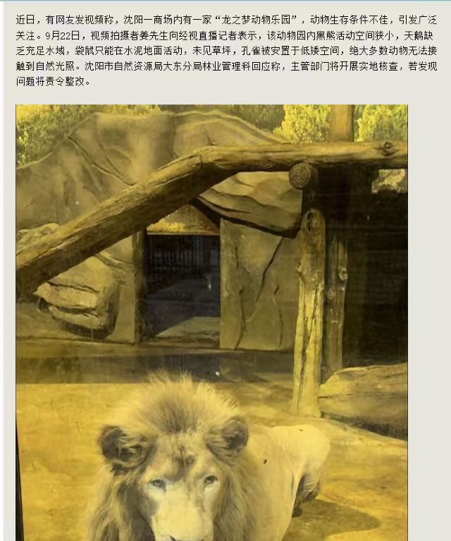 沈阳龙之梦动物科普乐园旅行图片 1