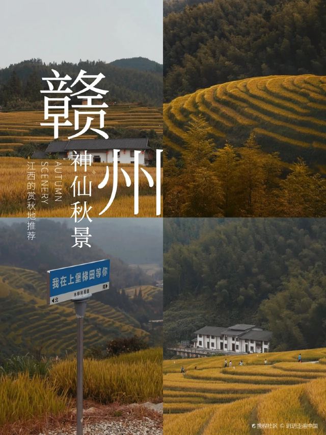阳明寨景区旅行图片 2