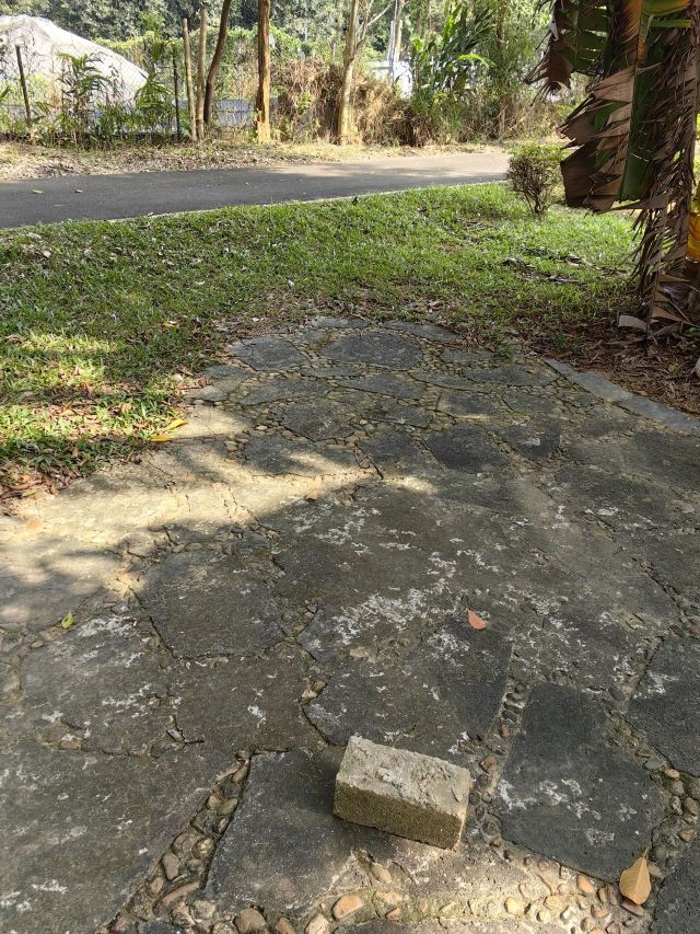 海南热带植物园旅行图片 4
