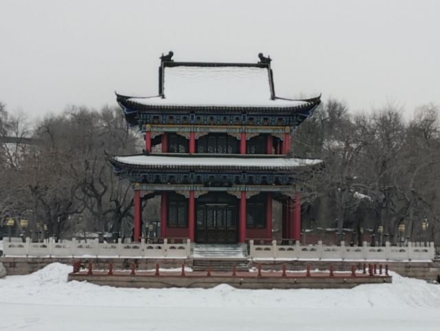 人民公园旅行图片 5