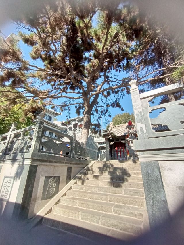 太阳宫旅行图片 2