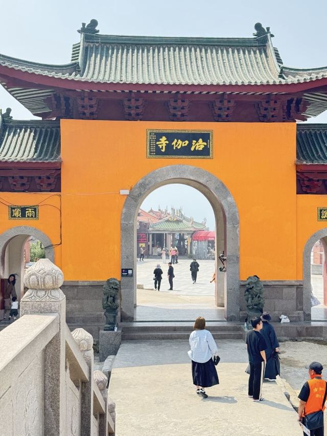 洛伽寺旅行图片 2