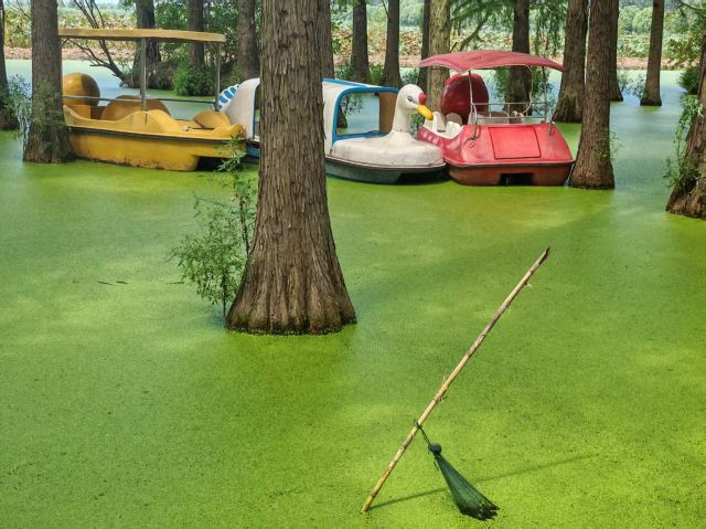 渌洋湖湿地公园生态园旅行图片 5