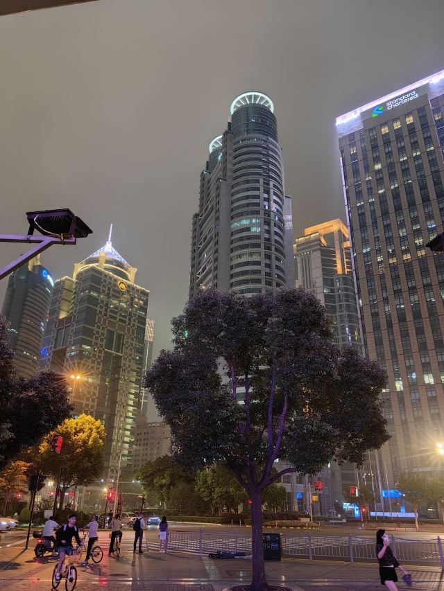 陆家嘴中心绿地旅行图片 1