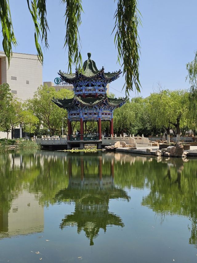 金川公园旅行图片 3