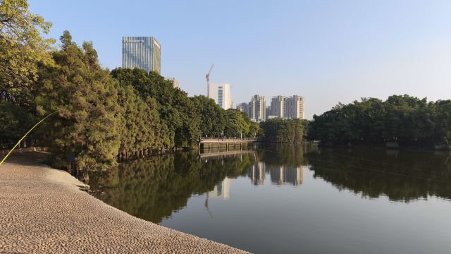 北滘公园旅行图片 5
