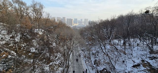 北山公园旅行图片 6