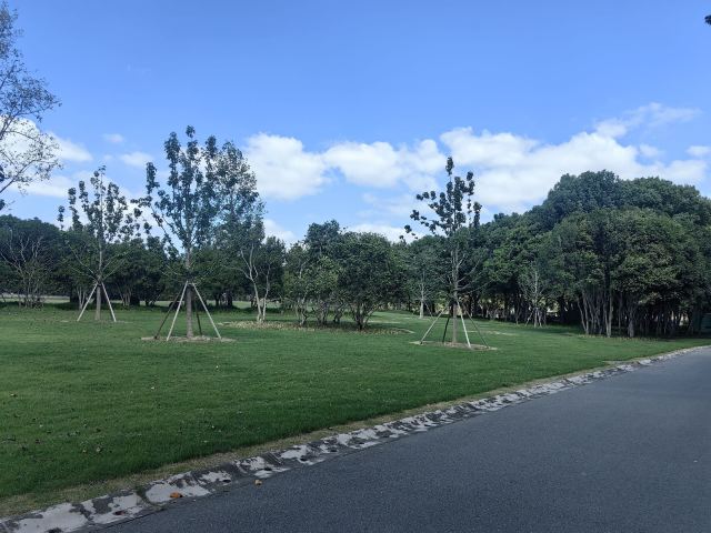 上海世纪公园旅行图片 1