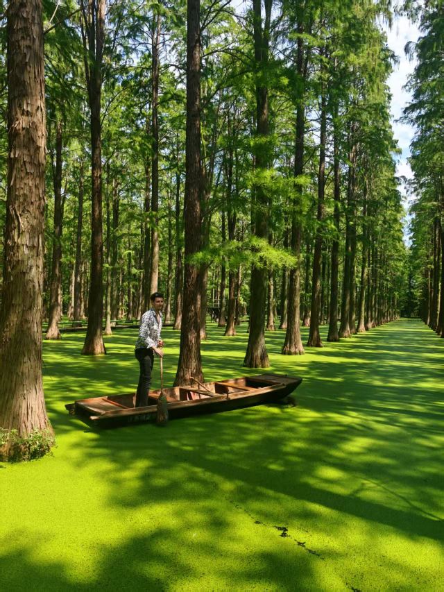 渌洋湖湿地公园生态园旅行图片 1