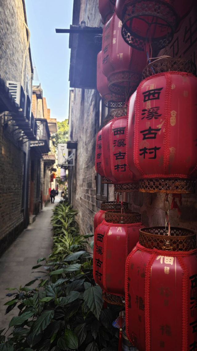 西溪古村旅行图片 8