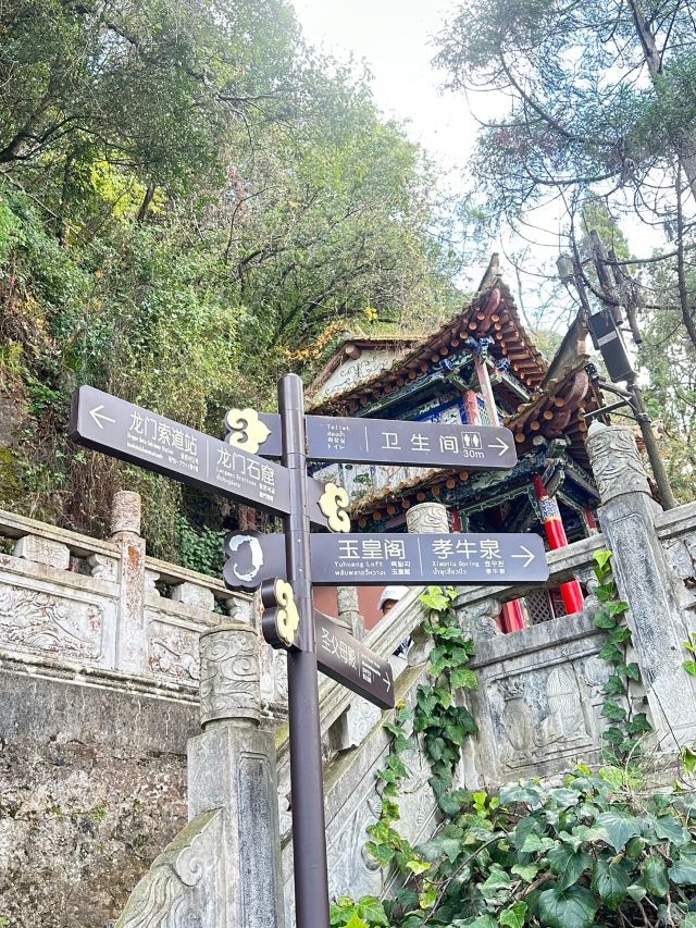 龙门索道上站旅行图片 9