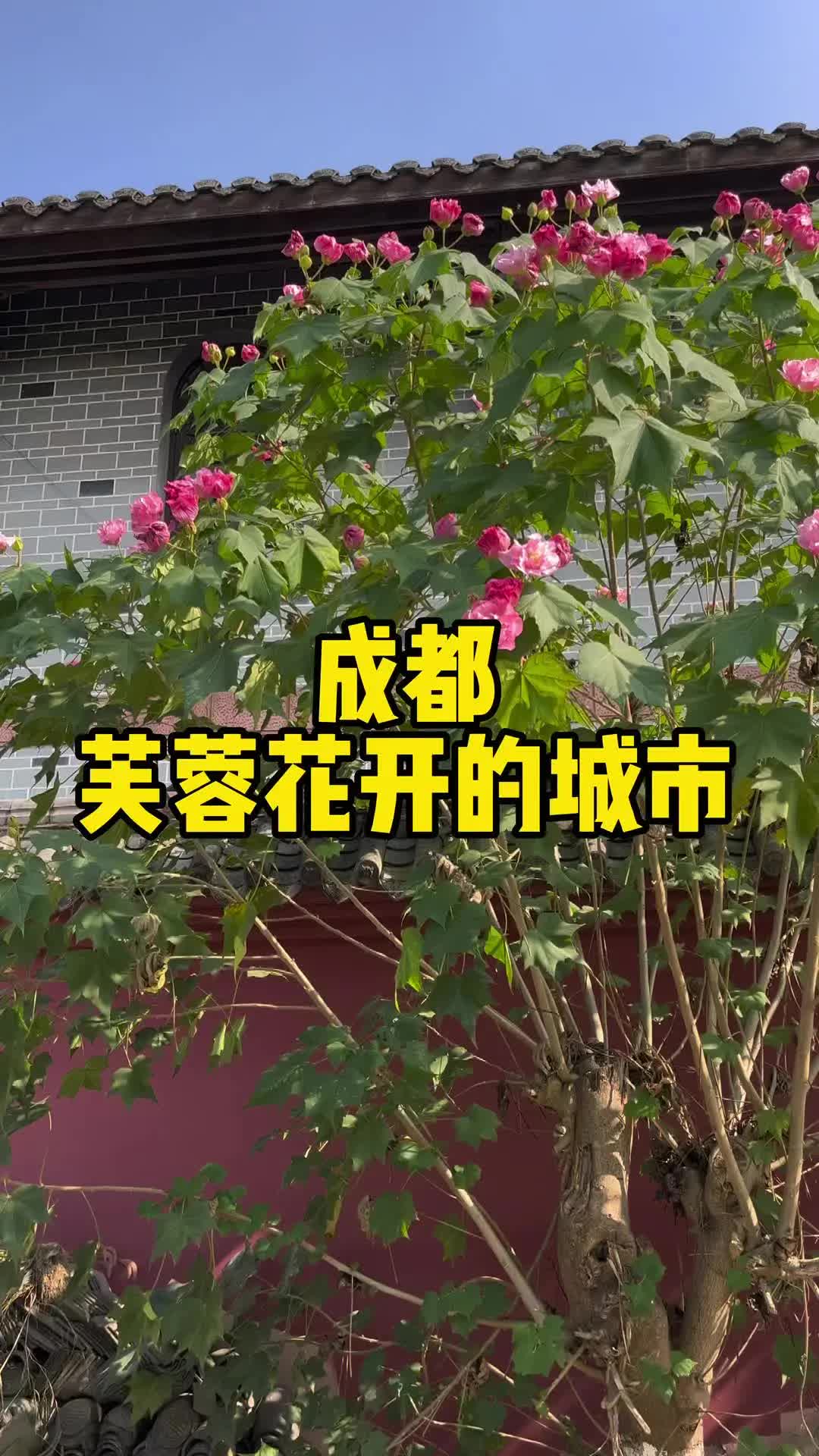 花是芙蓉花，话是椒盐普通话