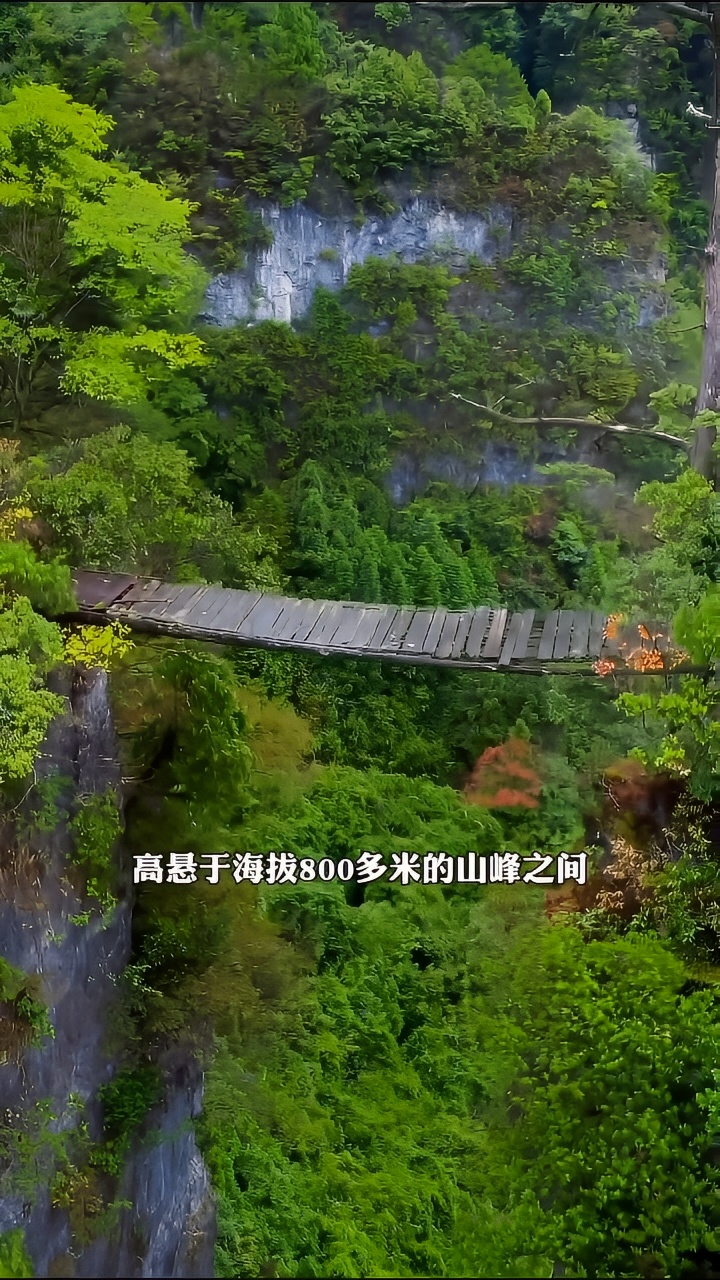 贵州深山腐烂的独木桥，五峰岭独木桥