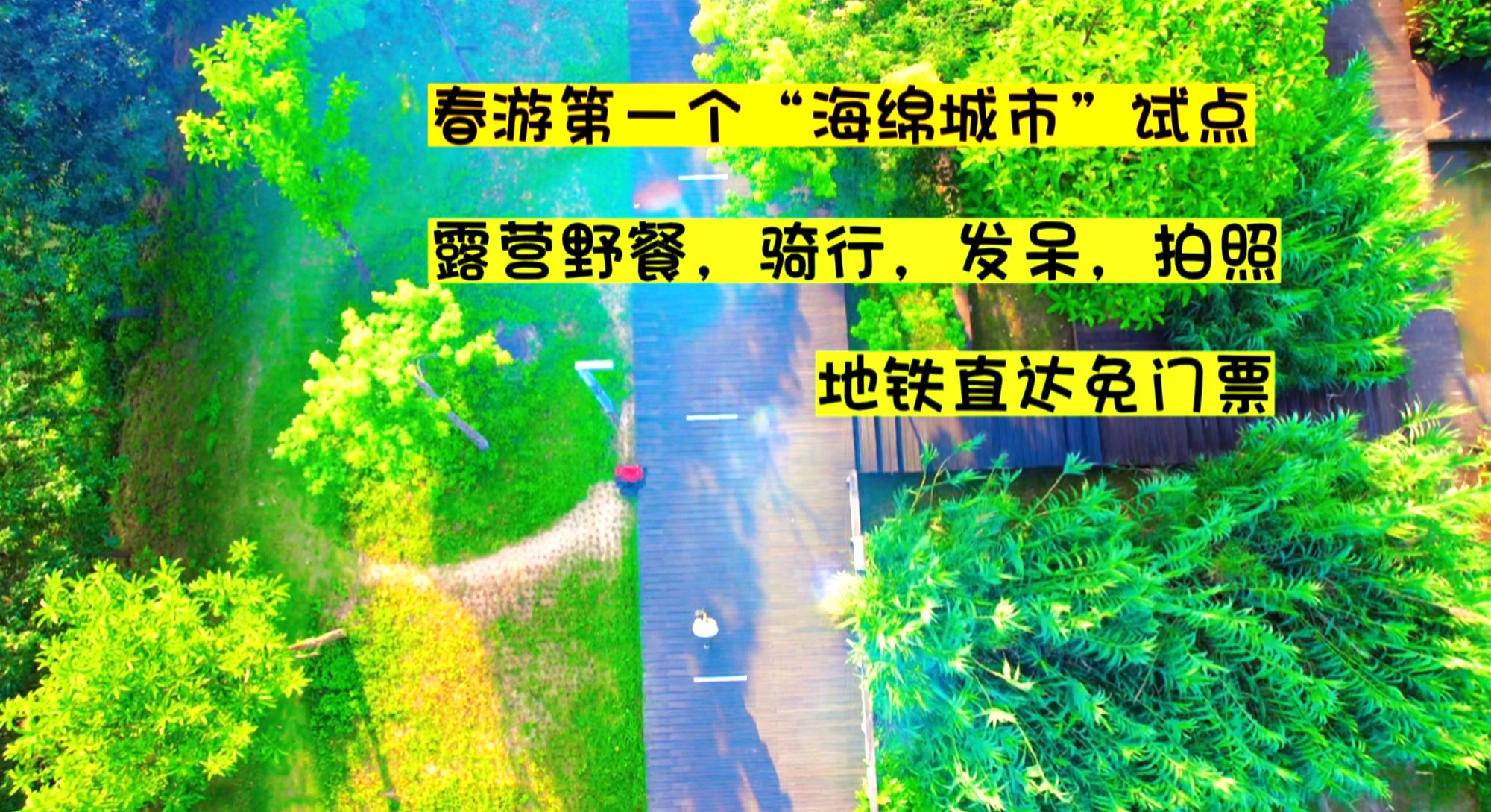 踏青宝藏地：广州天河大观湿地公园，附攻略
