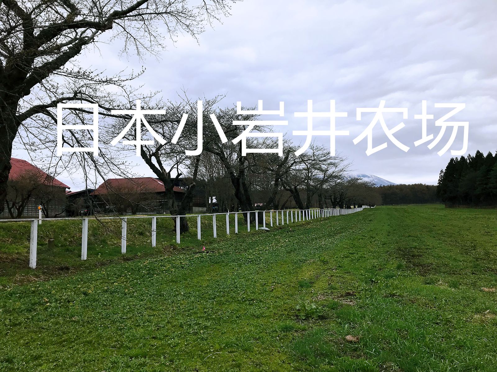 游日本系列：日本小岩井农场