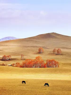 金秋新疆的美景太漂亮了