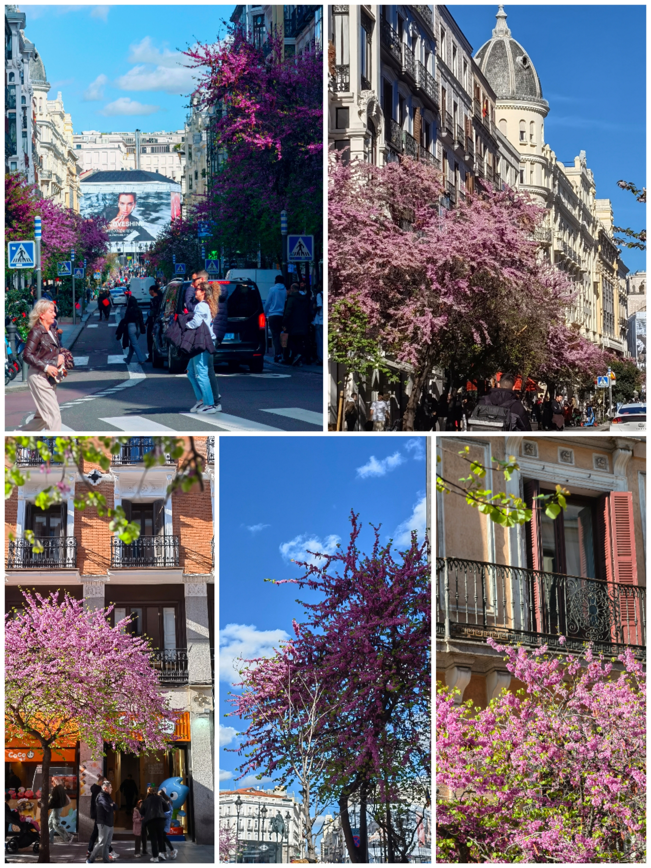 城市徒步—春光烂漫的马德里太阳门周边街巷