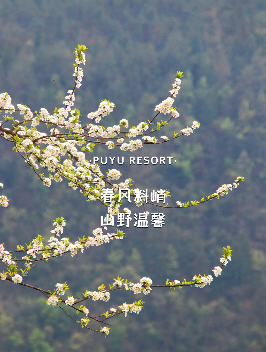 🍃春风料峭🌸
⛰️山野温馨⛅