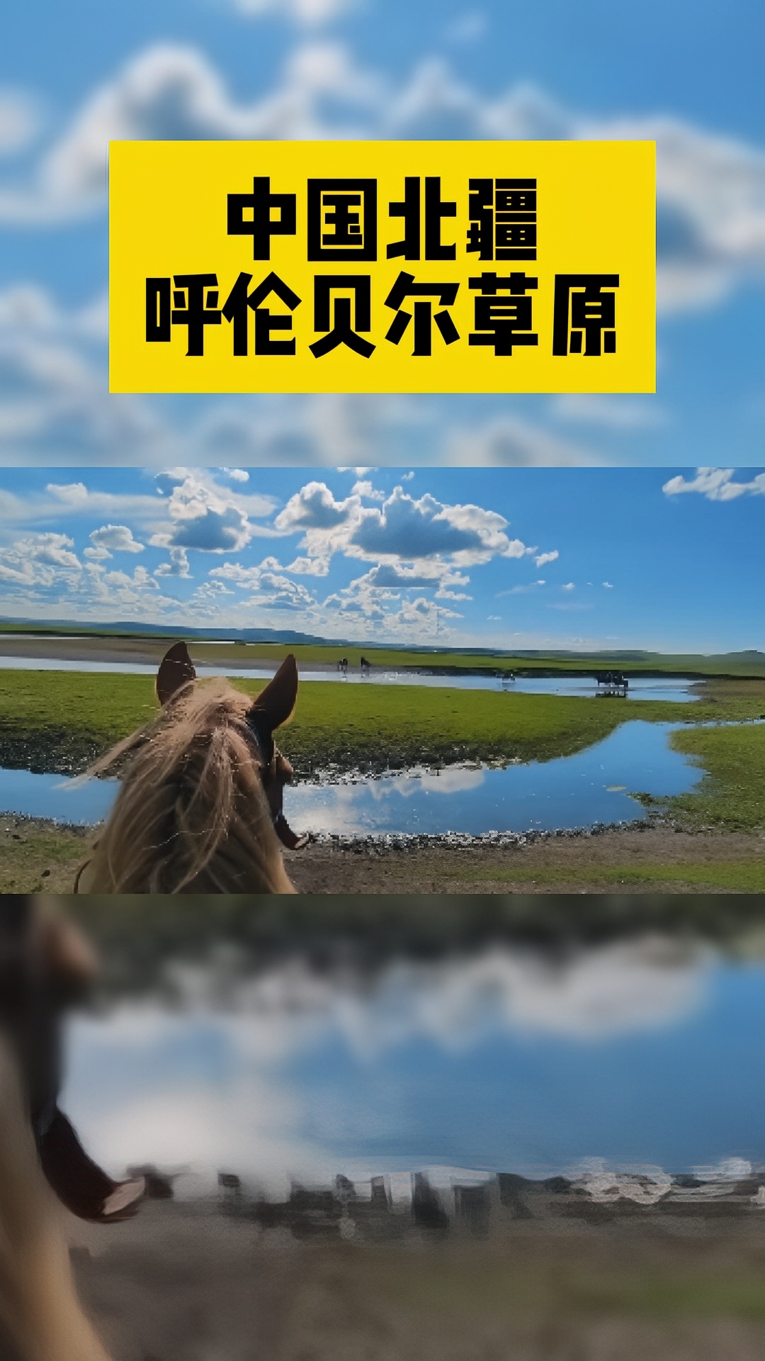 中国北疆呼伦贝尔草原