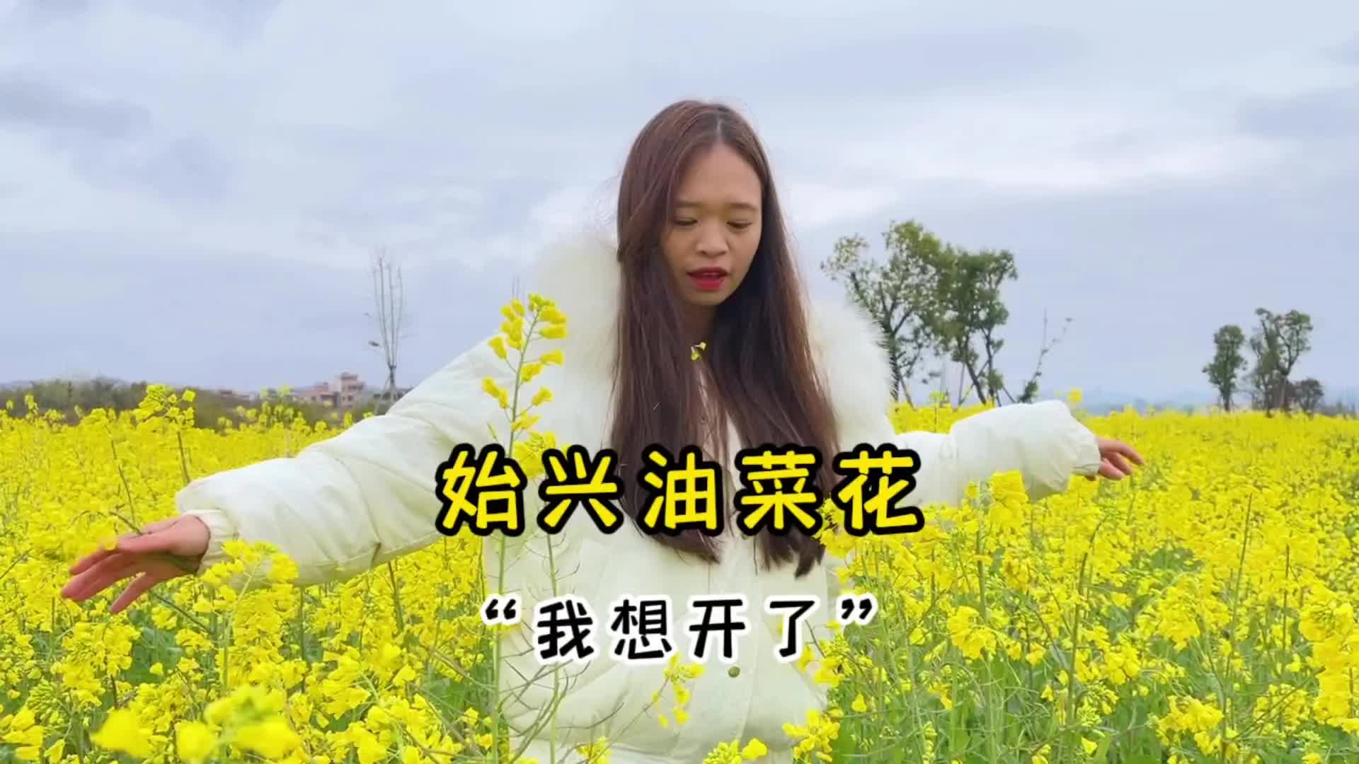 都不如我的家乡始兴县的这片油菜花