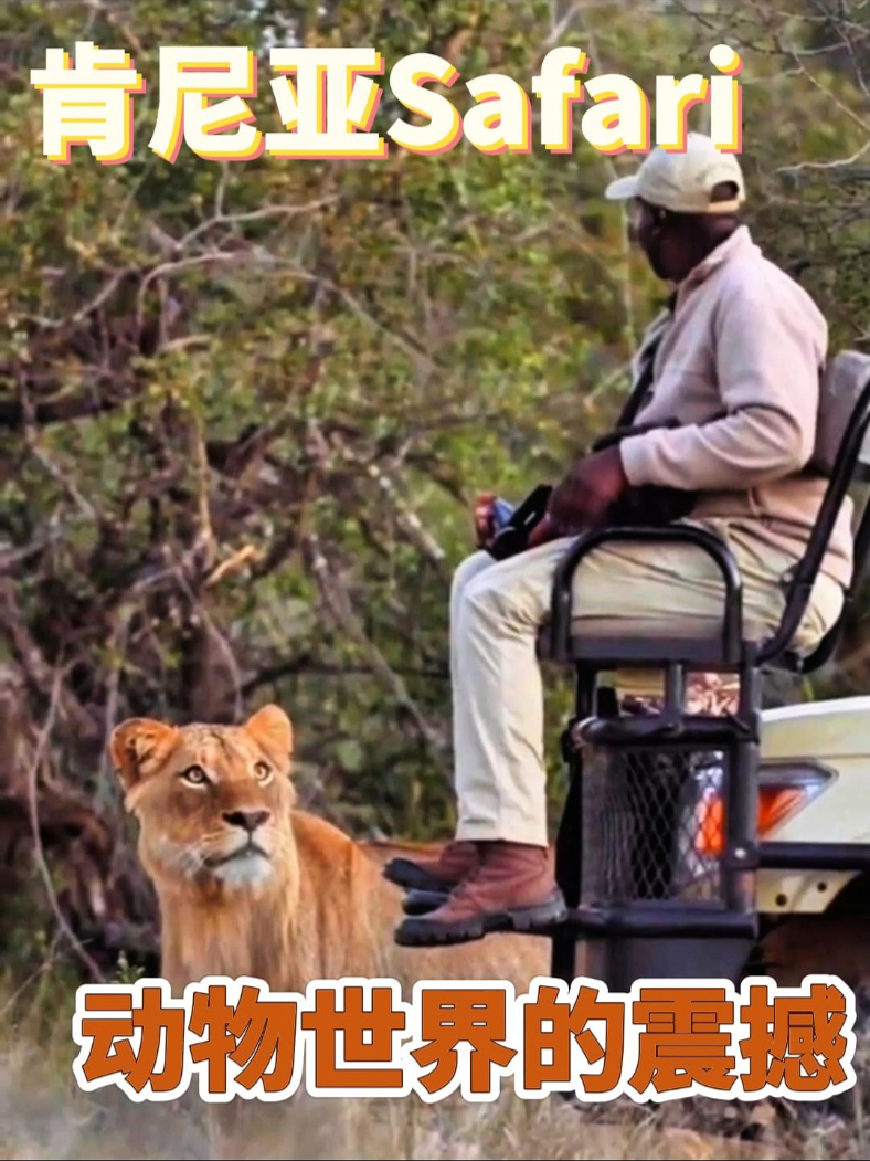 去100次动物园不如去一趟肯尼亚