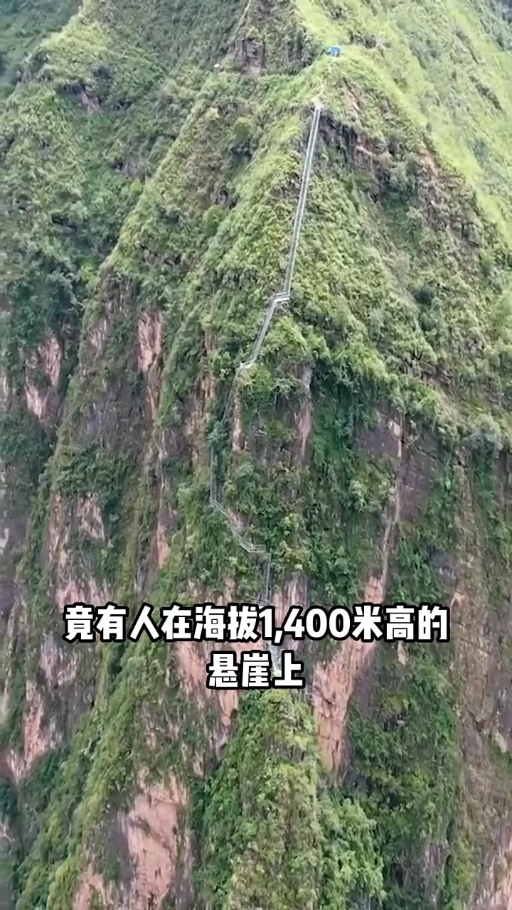 这里是四川悬崖村进村唯一通道就是通天云梯