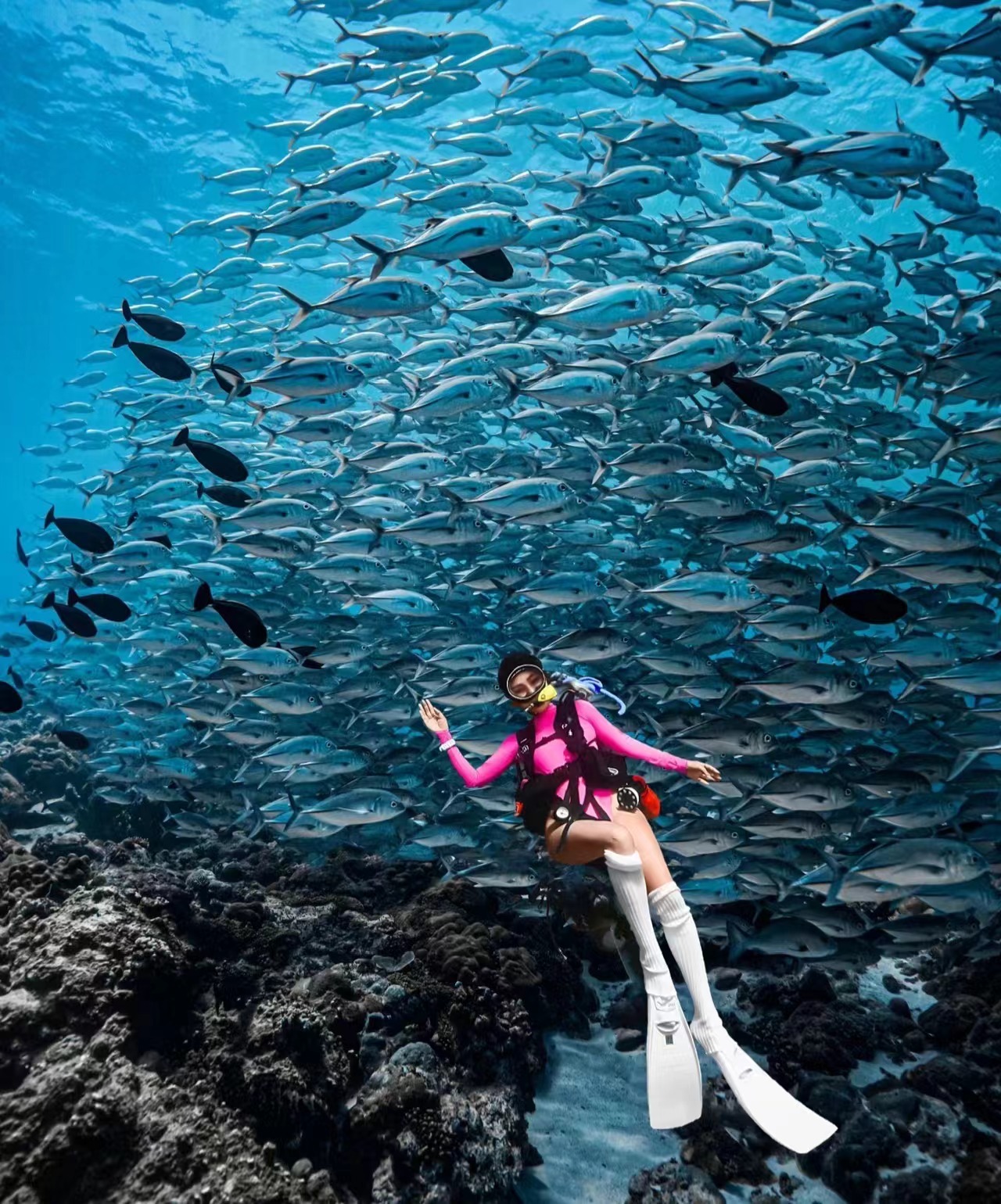 夏威夷岛浮潜🤿勇敢的人先享受世界