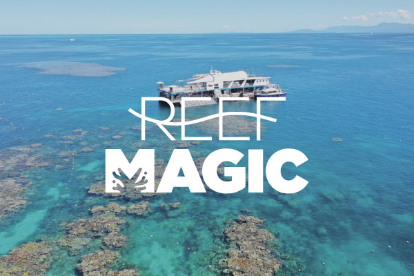 Reef Magic魔幻丽礁出海