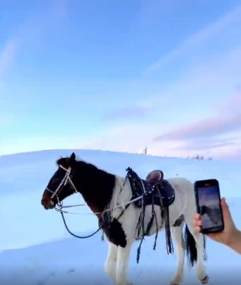 新疆旅游|雪地+骑马，这里拍出权游风格感