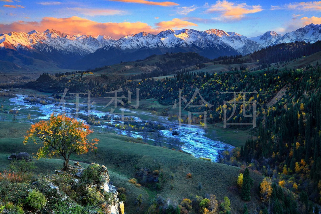 恰西丨新疆伊犁的宝藏景点