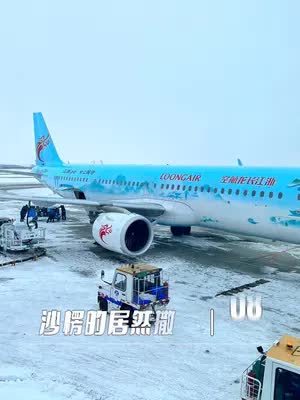 雪乡旅游攻略 哈尔滨我来了