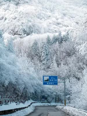 西安的冬天：一条通往童话世界的路