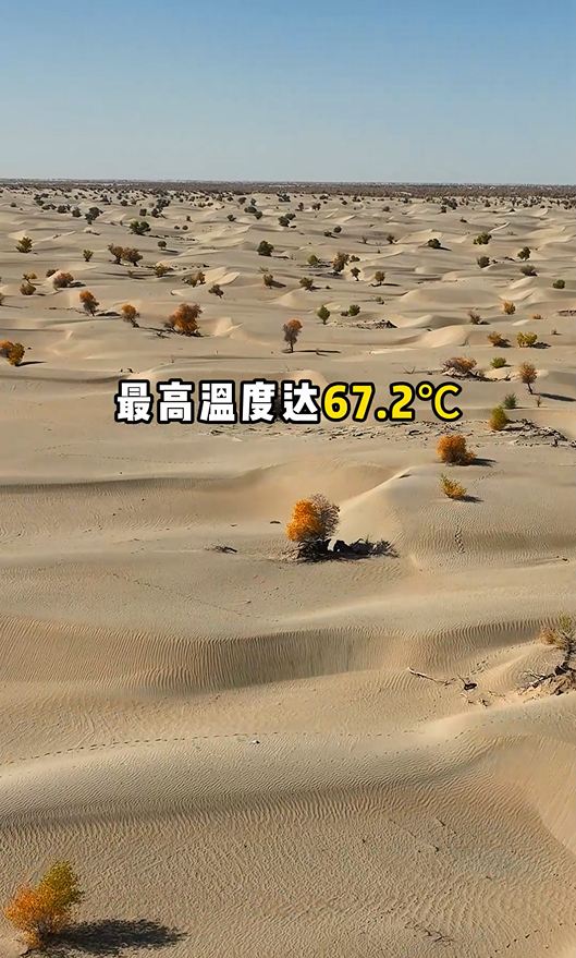 这里是生命的禁区，最高温度达67.2℃