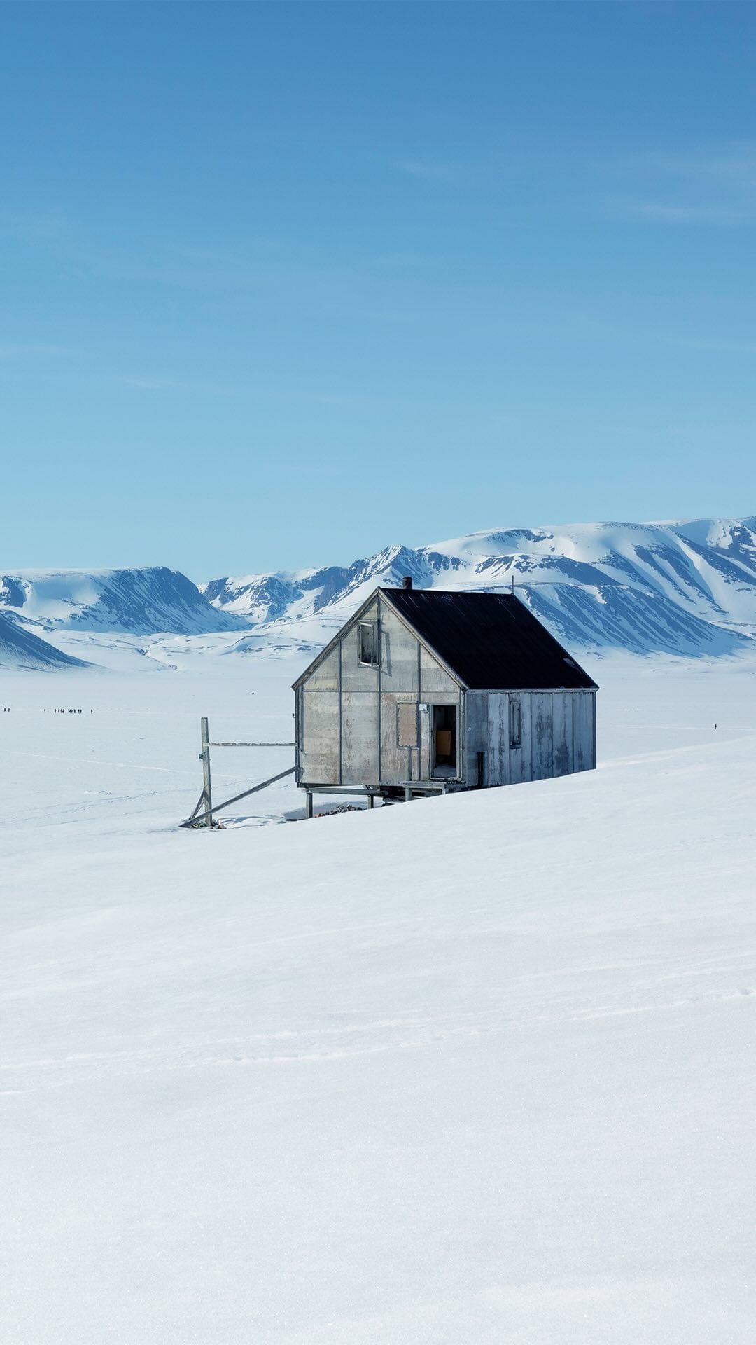 在北极，你可能没有时间放下你的相机📷