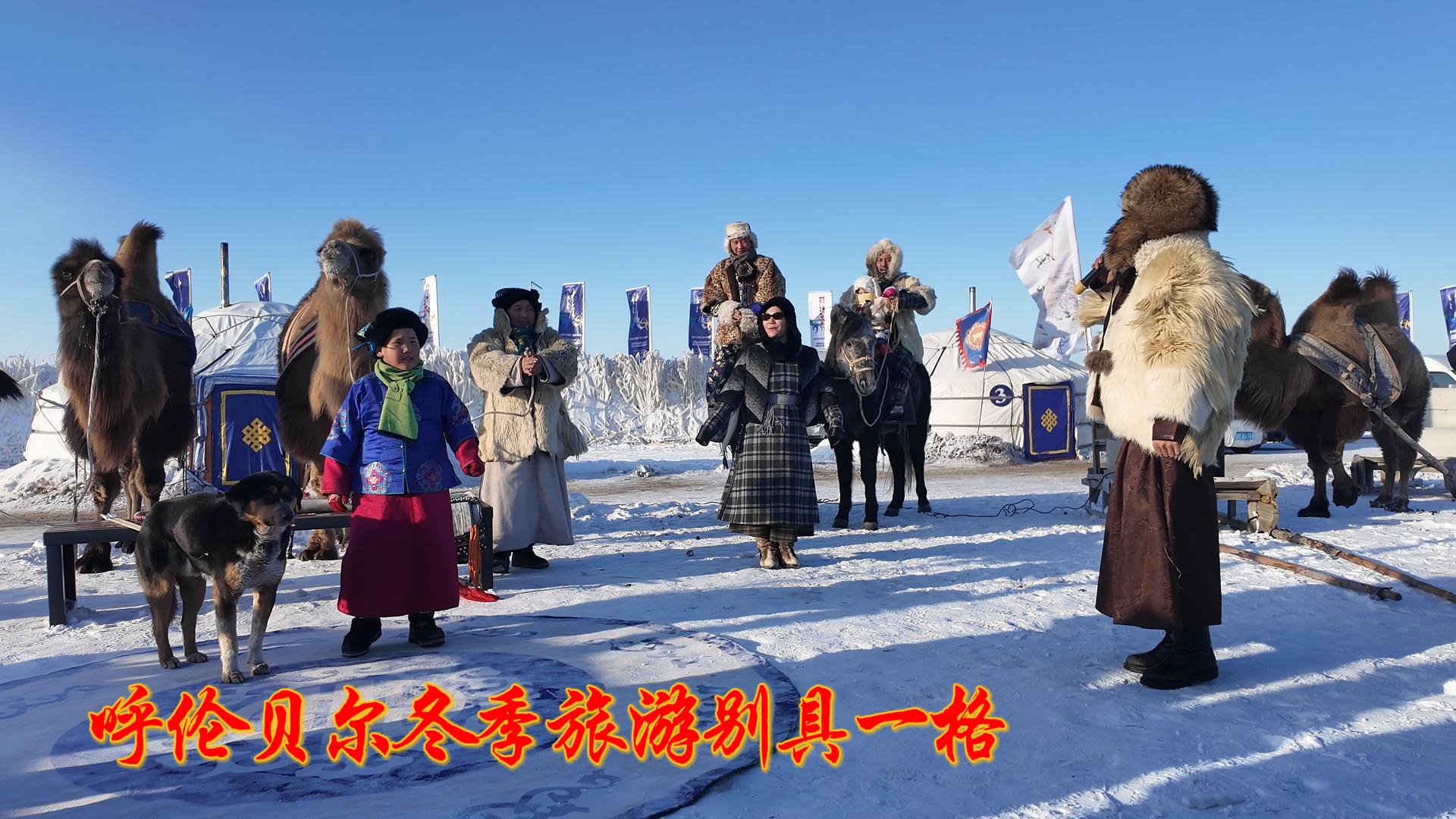 冬季呼伦贝尔冰雪旅游，比你想象的好玩儿！