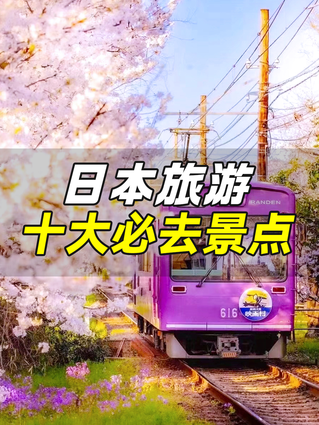 日本樱花季十大必去景点