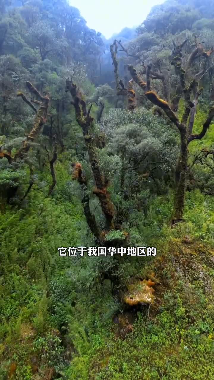 湖北西北部神农架为何不让任何人进入