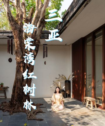 三亚海棠湾红树林度假酒店图片